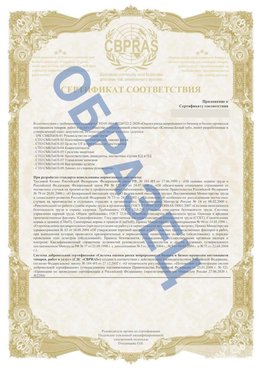 Образец Приложение к СТО 01.064.00220722.2-2020 Орел Сертификат СТО 01.064.00220722.2-2020 